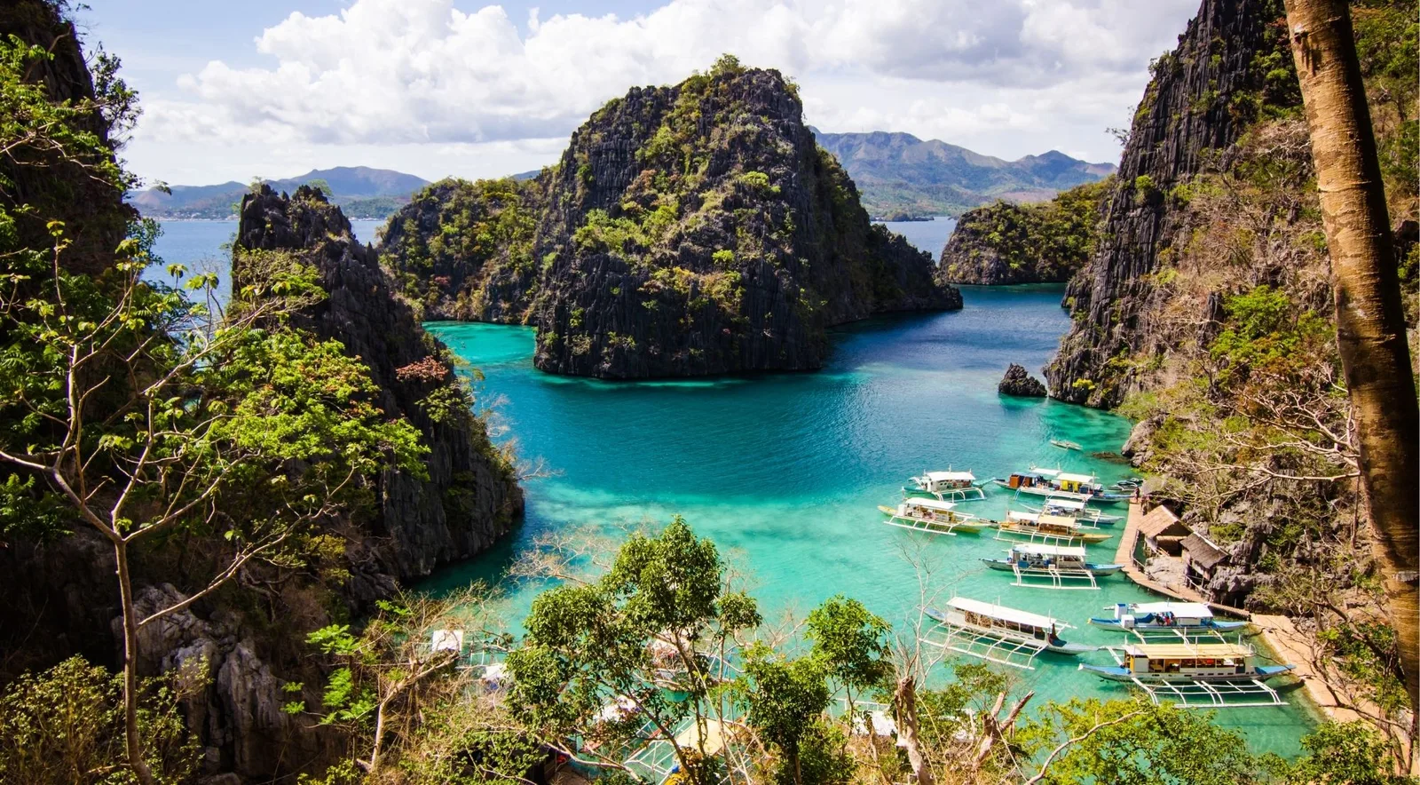 Outrigger boats moored in a turquoise cove below limestone cliffs, seen from a viewpoint in Coron