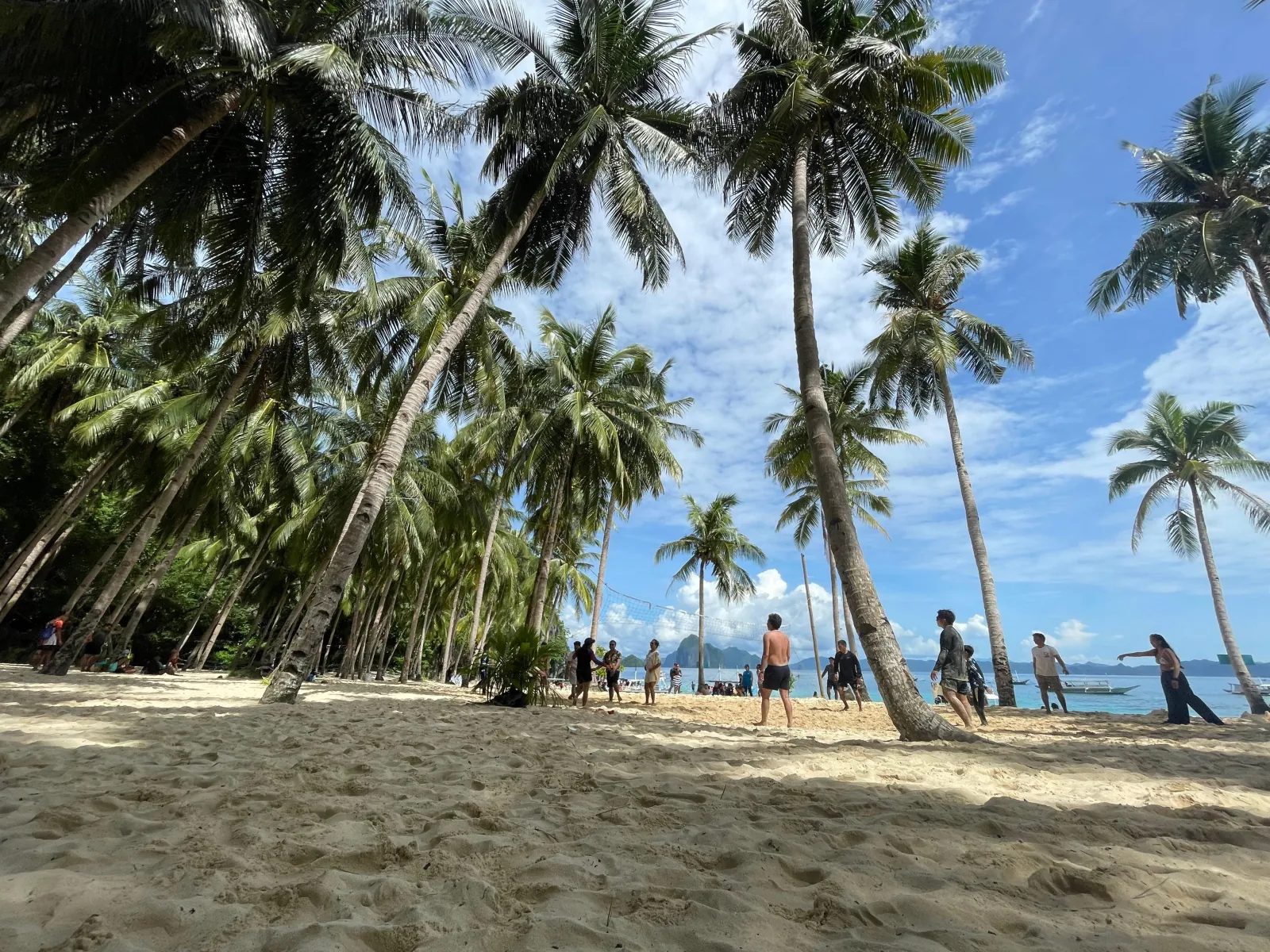 A palm-fringed beach with people walking along the shoreline