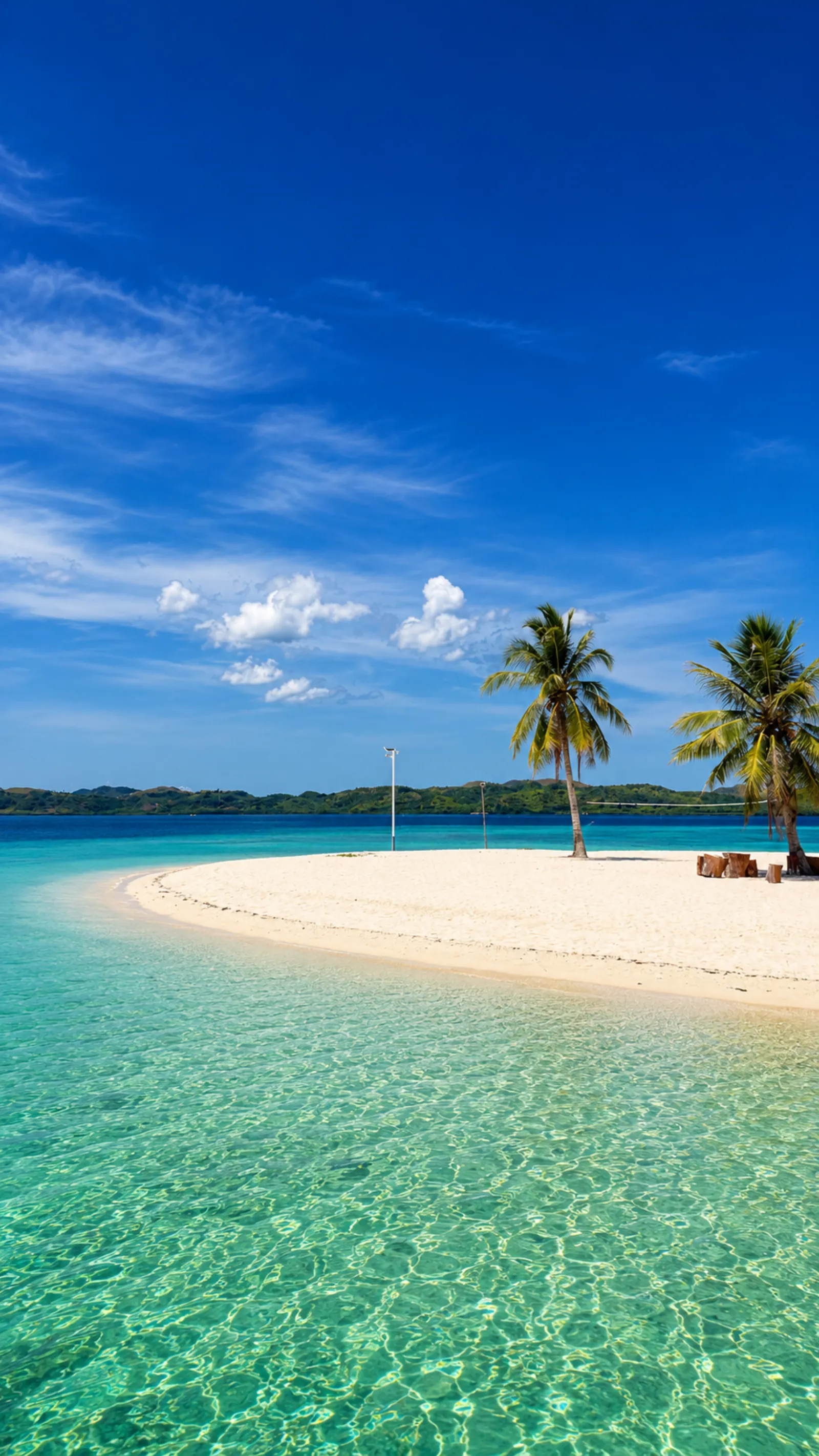 A white sandbar with palm trees over clear turquoise shallows
