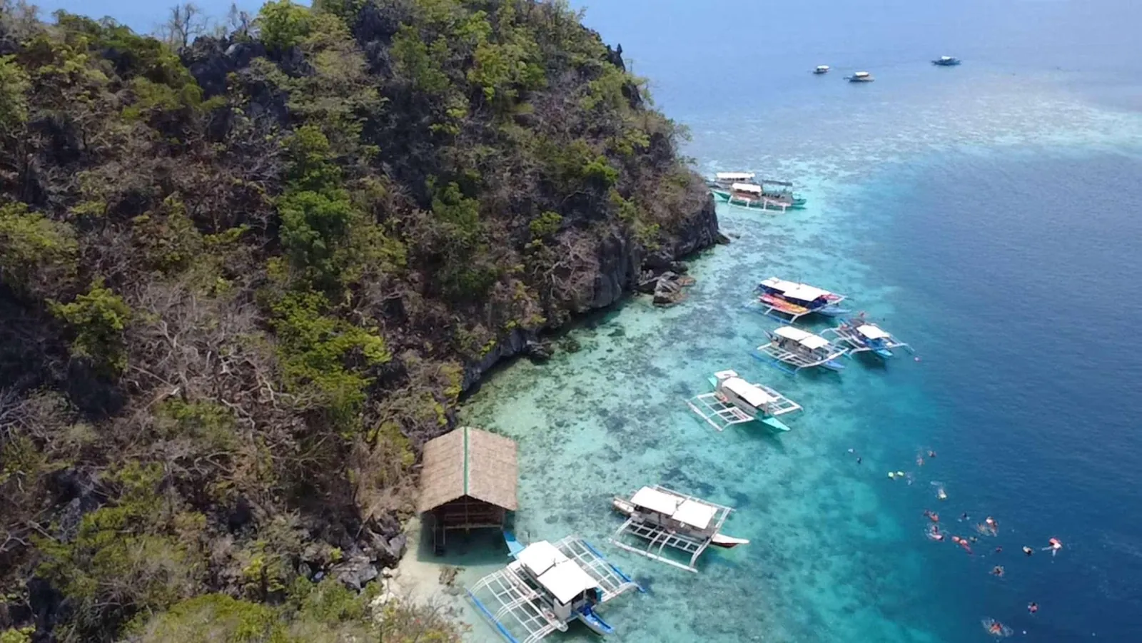 Aerial view of boats moored beside a cove and stilt hut below forested cliffs