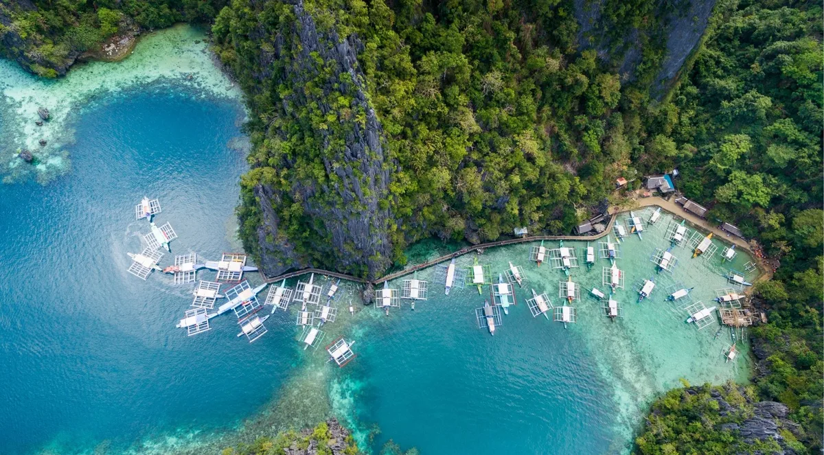 Aerial view of a cove crowded with outrigger boats moored along a boardwalk beside limestone cliffs